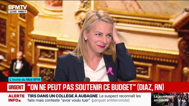 "On ne peut pas soutenir ce budget", assure Edwige Diaz, sénatrice RN de Gironde