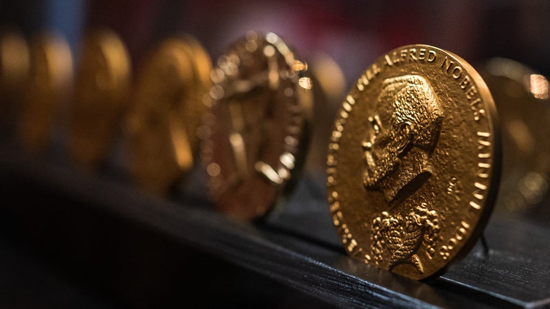 La saison des prix Nobel s'ouvre, les recherches sur les hormones régulant l'appétit favorites pour le prix de médecine