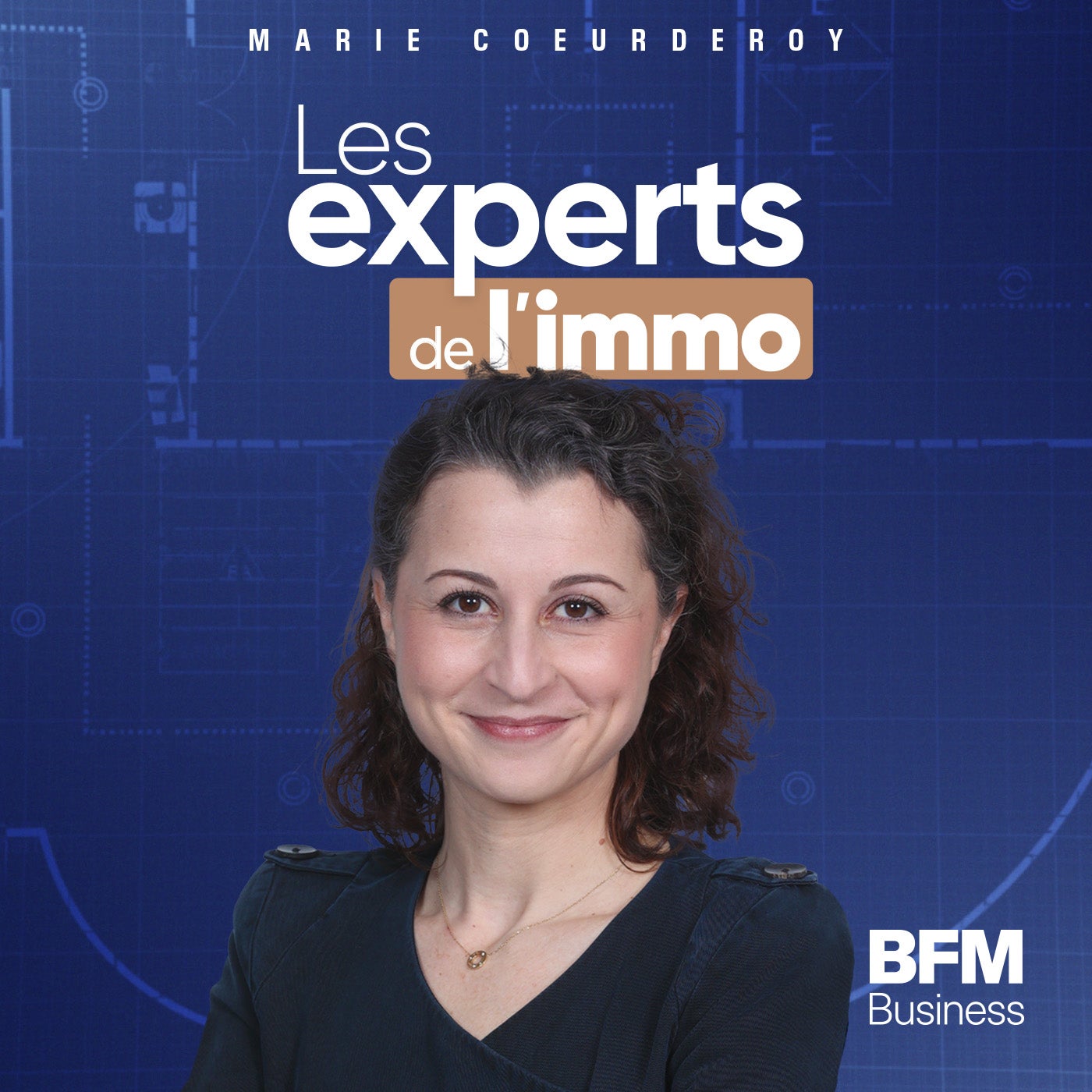 Les Experts de l'immo : Crédit immobilier, comment bien emprunter ?