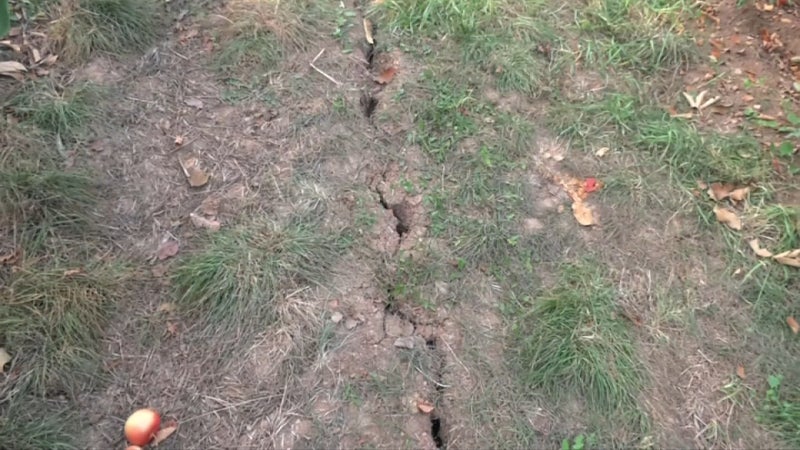 Sécheresse et inondation: la ville de Saint-Étienne encourage ses habitants dans leur demande de reconnaissance de catastrophe naturelle devant l'État